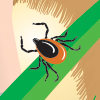 Lyme disease icon