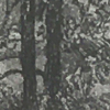 lake orbach icon