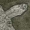 red-eared slider icon