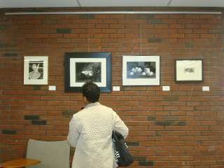 Gallery wall center